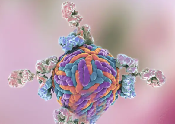 Advancing Cancer Therapy: The Revolutionary Impact of Bispecific Antibodies